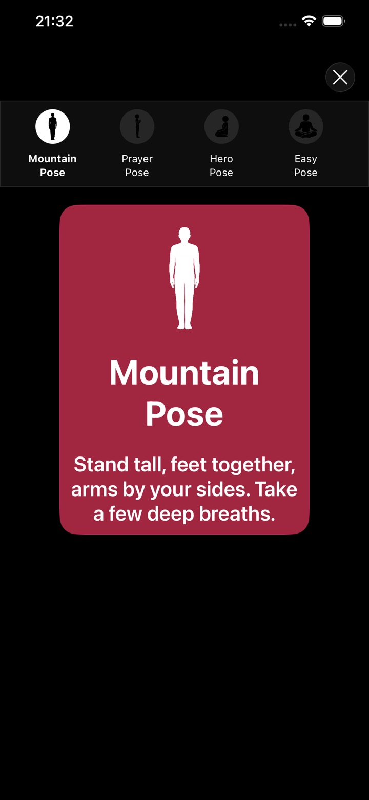 Each pose shown and read aloud: Mountain Pose, the first of Begin