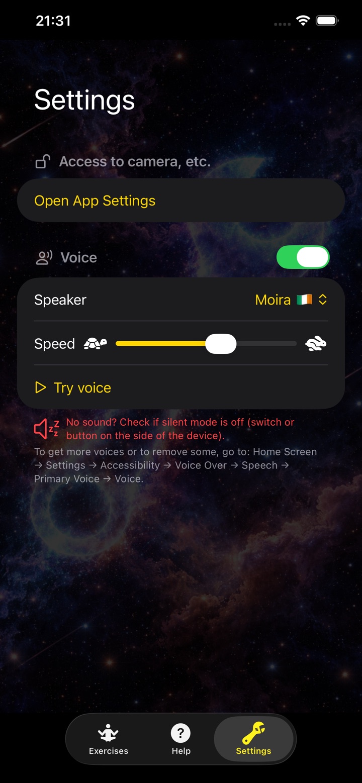 Settings: camera access, the voice, its speaker and speed
